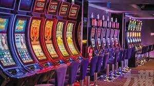 219bet