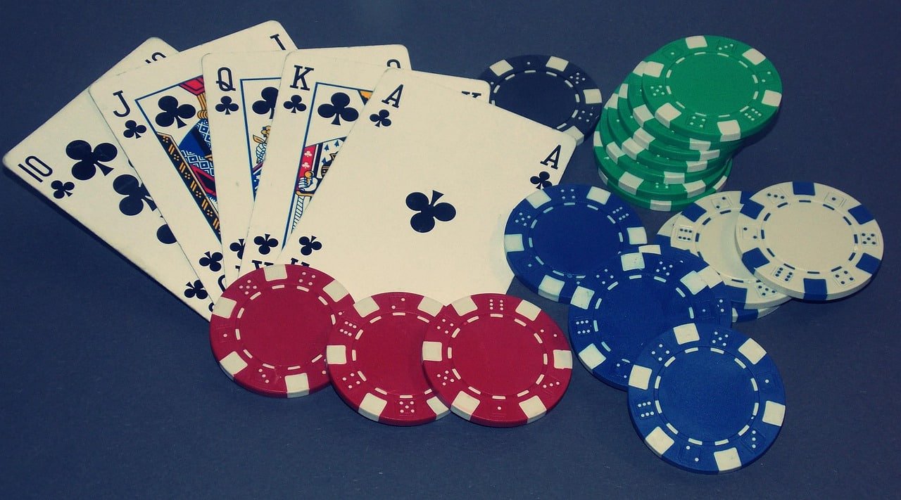 219bet