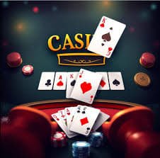 219bet